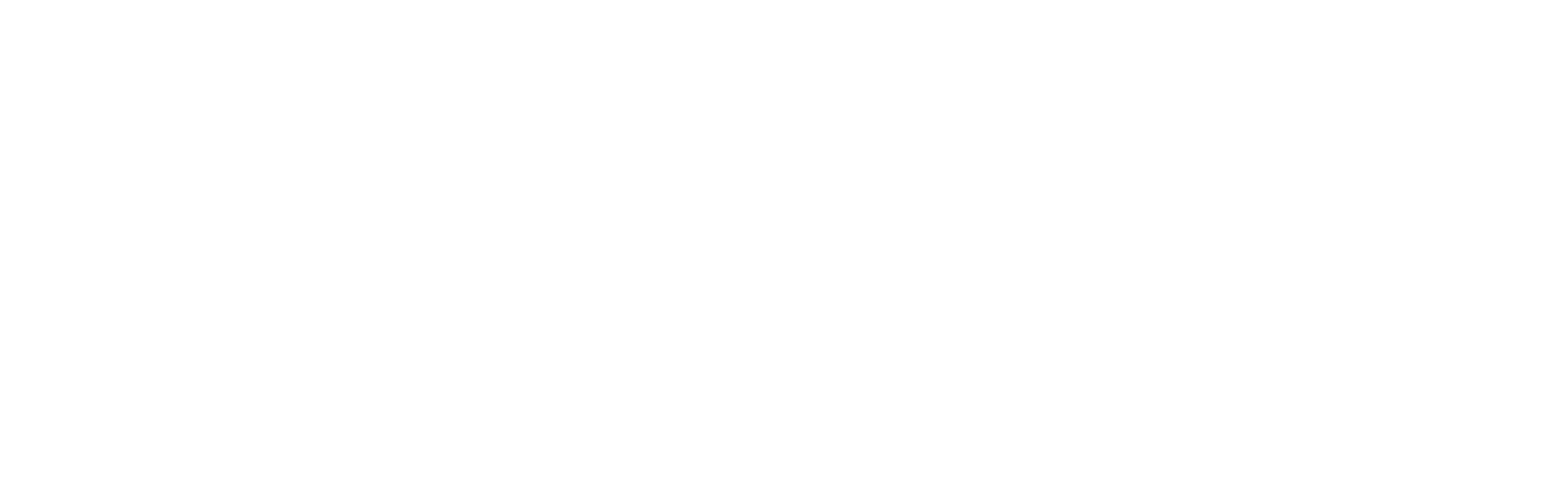 NAFEMS Logo White