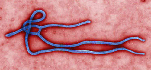 Which One to Worry About? Ebola vs. Influenza
