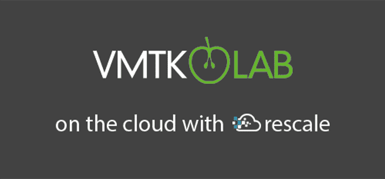 Patient-specific hemodynamics on the cloud with VMTKLab and Rescale